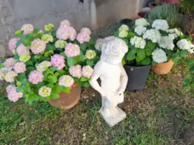 Ferienwohnung für 4 Personen (72 m²) in Povljana 3/10