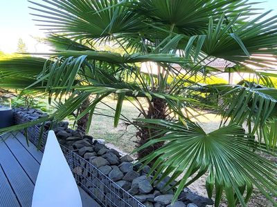 TerraceBalcony