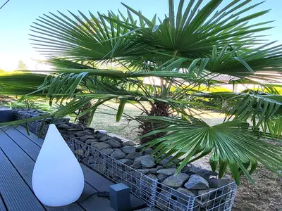 TerraceBalcony
