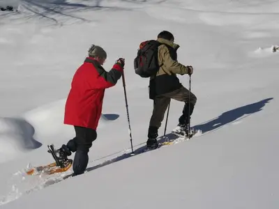 Ferienwohnung für 4 Personen (40 m²) in Prägraten am Großvenediger 3/10