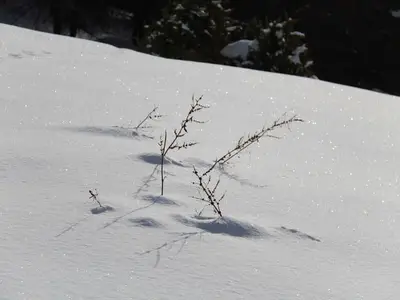 Ferienwohnung für 4 Personen (40 m²) in Prägraten am Großvenediger 8/10