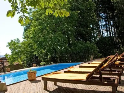 Blick in den Garten