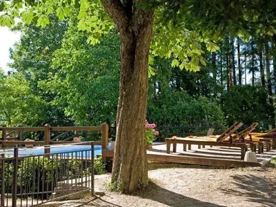 Blick in den Garten