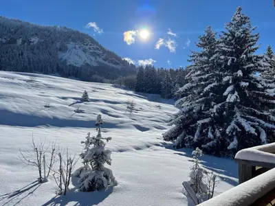 ViewWinter