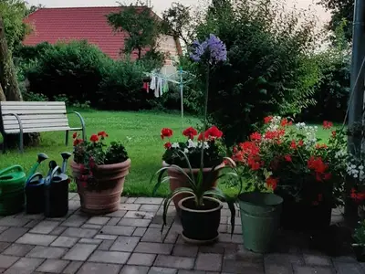 Ferienwohnung für 4 Personen (70 m²) in Prebberede 9/10