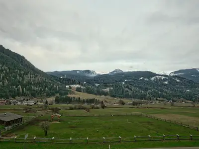 ViewSummer