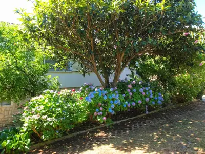 Bild 6