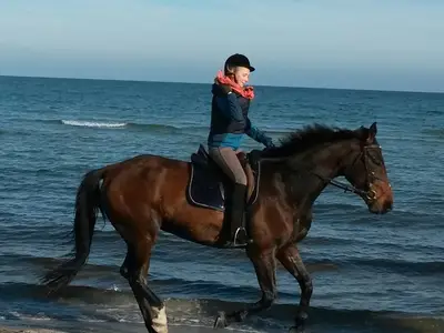 Ferienwohnung für 3 Personen (44 m²) in Prerow 10/10