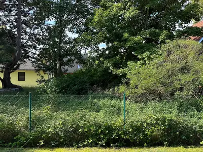Ferienwohnung für 2 Personen (37 m²) in Prerow 8/10