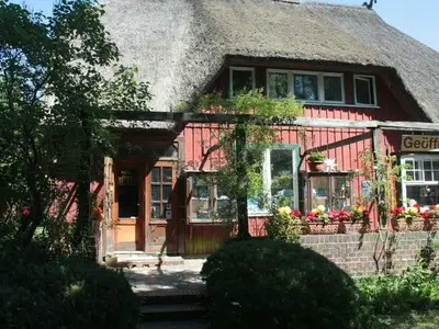 Ferienwohnung für 2 Personen (25 m²) in Prerow 1/10