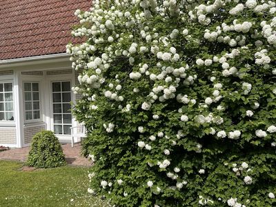 Ferienwohnung für 3 Personen (55 m²) in Prerow 6/10