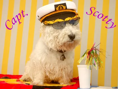 Ferienwohnung für 4 Personen (45 m²) in Prerow 3/10