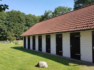 Ferienwohnung für 4 Personen (55 m²) in Prerow 6/10