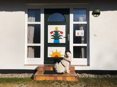 Ferienwohnung für 4 Personen (51 m²) in Prerow 2/10