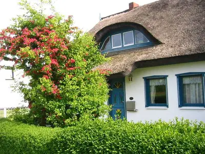 Ferienwohnung für 8 Personen (150 m²) in Prerow 5/10