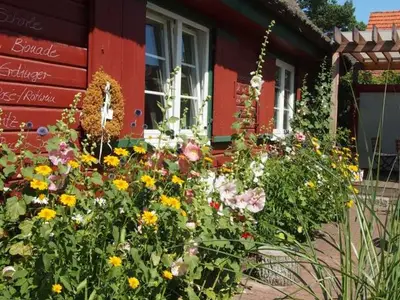 Ferienwohnung für 4 Personen (47 m²) in Prerow 4/10