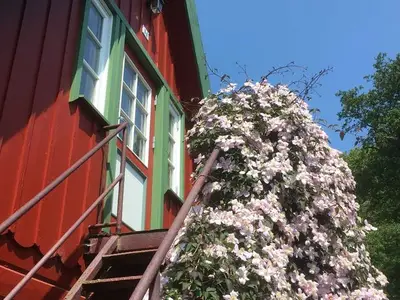 Ferienwohnung für 4 Personen (47 m²) in Prerow 5/10