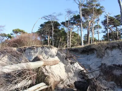 Ferienwohnung für 2 Personen (35 m²) in Prerow 9/10