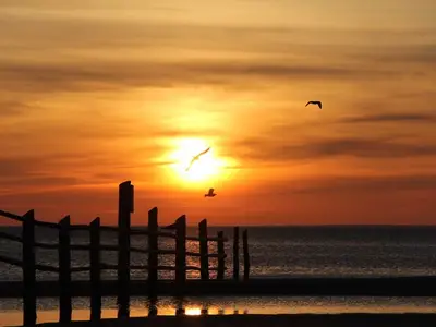 Ferienwohnung für 2 Personen (35 m²) in Prerow 10/10