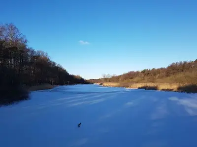 Ferienwohnung für 2 Personen (35 m²) in Prerow 3/10