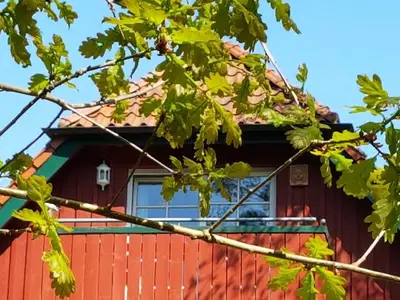Ferienwohnung für 2 Personen (45 m²) in Prerow 2/10