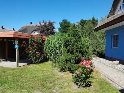 Ferienwohnung für 9 Personen (130 m²) in Prerow 7/10