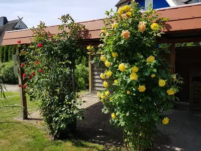 Ferienwohnung für 9 Personen (130 m²) in Prerow 8/10