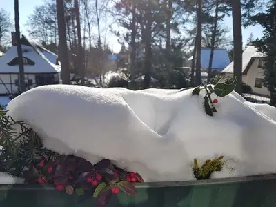 Ferienwohnung für 4 Personen (50 m²) in Prerow 3/10