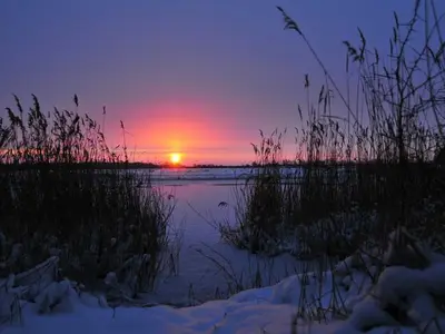 Ferienwohnung für 7 Personen (124 m²) in Prerow 6/10
