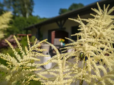 Ferienwohnung für 4 Personen (47 m²) in Prerow 3/10