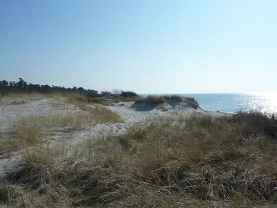 Ferienwohnung für 2 Personen (30 m²) in Prerow 7/10
