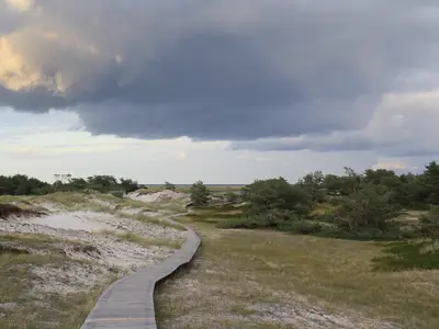 Ferienwohnung für 2 Personen (30 m²) in Prerow 9/10