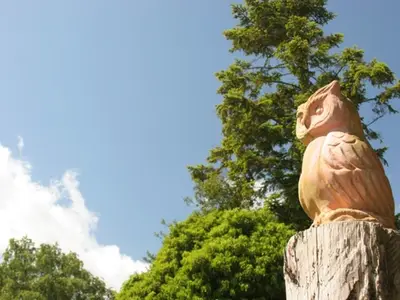 Ferienwohnung für 4 Personen (55 m²) in Prerow 10/10