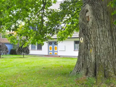 Ferienwohnung für 4 Personen (62 m²) in Prerow 6/10