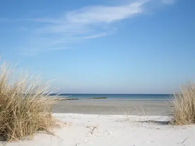 Ferienwohnung für 4 Personen (66 m²) in Prerow 6/10