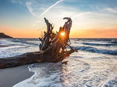 Ferienwohnung für 2 Personen (33 m²) in Prerow 4/10