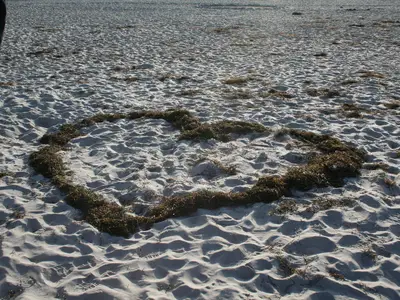 Ferienwohnung für 2 Personen (30 m²) in Prerow 3/10