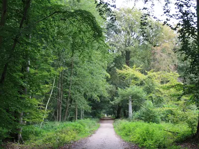 Ferienwohnung für 2 Personen (30 m²) in Prerow 10/10