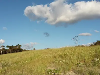 Ferienwohnung für 3 Personen (44 m²) in Prerow 7/10