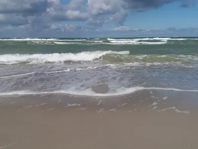 Ferienwohnung für 3 Personen (44 m²) in Prerow 8/10