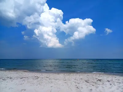 Ferienwohnung für 4 Personen (45 m²) in Prerow 10/10