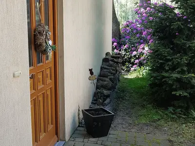 Ferienwohnung für 2 Personen (50 m²) in Prerow 3/10