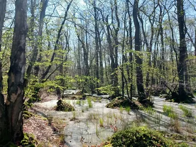 Ferienwohnung für 2 Personen (45 m²) in Prerow 10/10