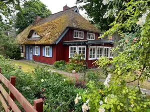 Ferienwohnung für 4 Personen (68 m²) in Prerow