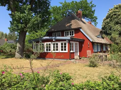 Ferienwohnung für 4 Personen (68 m²) in Prerow 2/10