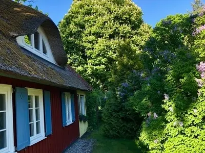 Ferienwohnung für 4 Personen (68 m²) in Prerow 5/10