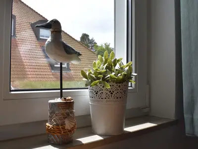 Ferienwohnung für 6 Personen (75 m²) in Prerow 5/10