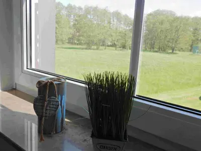 Ferienwohnung für 6 Personen (75 m²) in Prerow 7/10