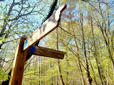 Ferienwohnung für 2 Personen (45 m²) in Prerow 8/10