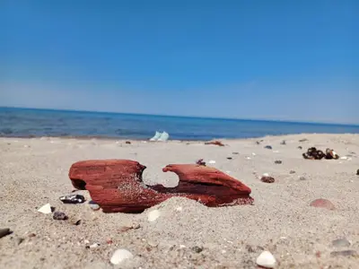 Ferienwohnung für 2 Personen (45 m²) in Prerow 9/10